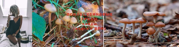 мет Медногорск